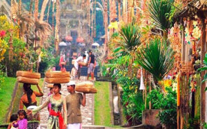 Sightseeing: Penglipuran Traditional Village & Ubud Tour